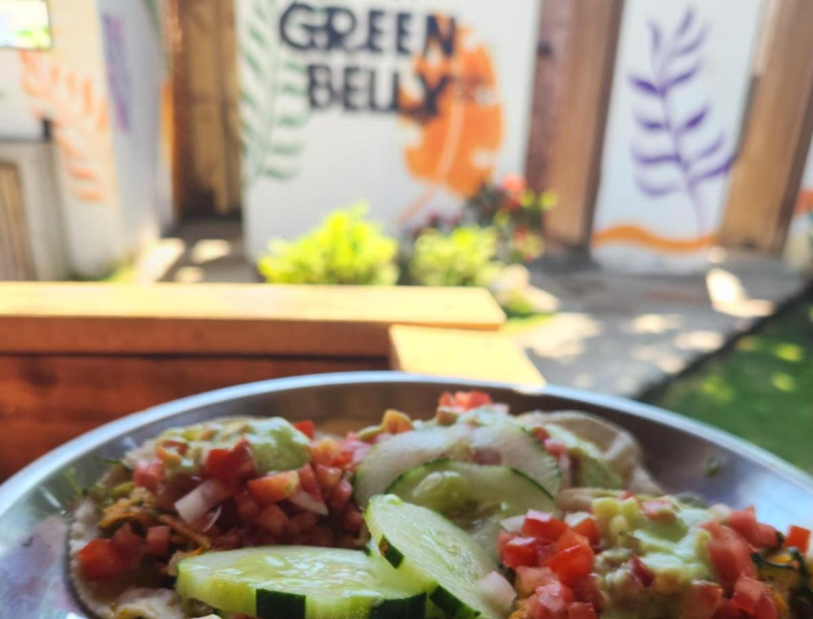 Green Belly Surf Hostel Эль-Паредон-Буэна-Виста Экстерьер фото